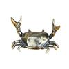 Crab Shape Crab Pen Holder  Pen Stand Home Pen Holder  Office
