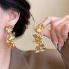 Spicy Girl Vibe: 2025 Sweet & Cool Niche Tassel Earrings - Chic & Slimming Long Design