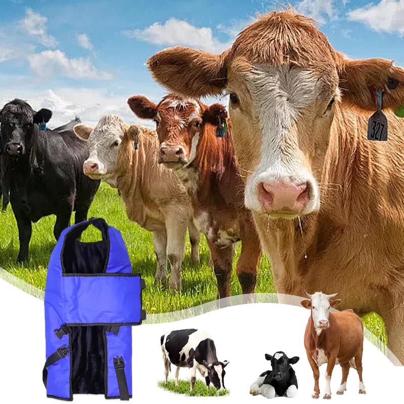 Calf Warm Clothes Calf Saver Coat Blanket for Keep Cow Warming Thickened Belly Protection Oxford Windproof Large Size Blue