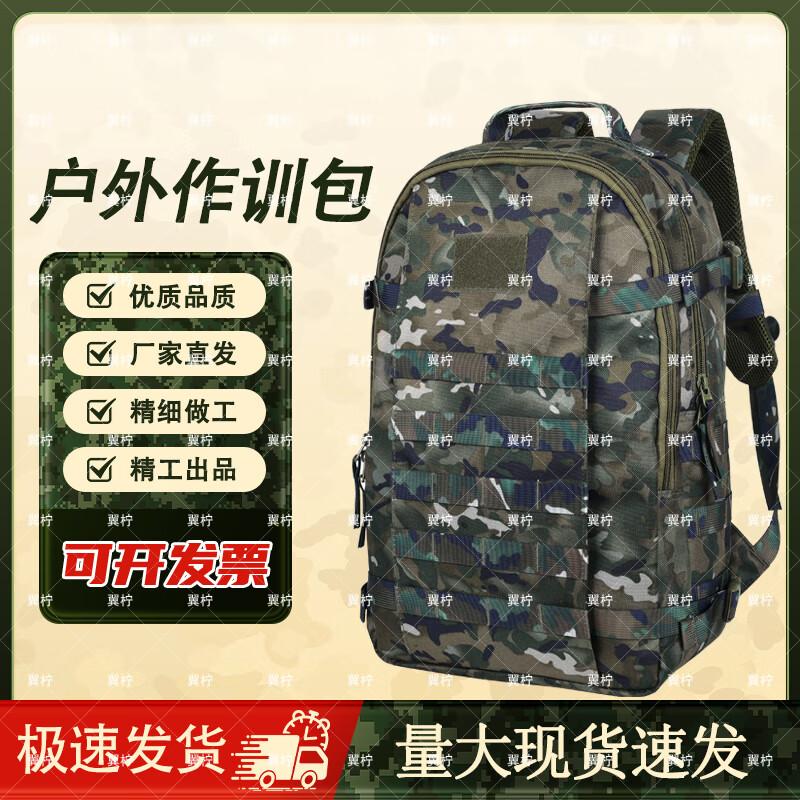 Wing Lemon Tactical Camouflage Backpack