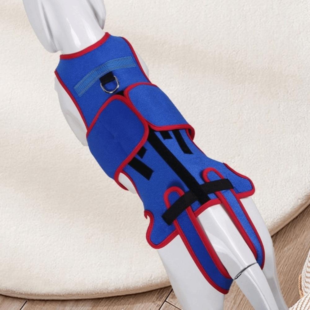 Adjustable Dog Back Brace Breathable Thickened Dog Soothing Clothes Back Protector Comfortable Pet Support Harness Indoor