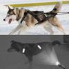 Imbracatura da Slitta per Cani Riflettente Pettorina per Animali Domestici da Trazione con Slitta per Cani Medi Grandi Husky Canicross Skijoring Scootering