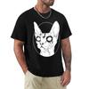Black Metal Sphynx Cat I Goth And Death Metal Tshirt Sport Basic Moisture Wicking Tee