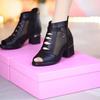 2025 Summer Boots Women Mesh Female Boots Fashion Thick Heels Mom Shoes Breathable Fish Mouth Shoes Back Zip Women Ankle Boots