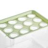 Home Hydroponics Growing Box for Microgreens Development