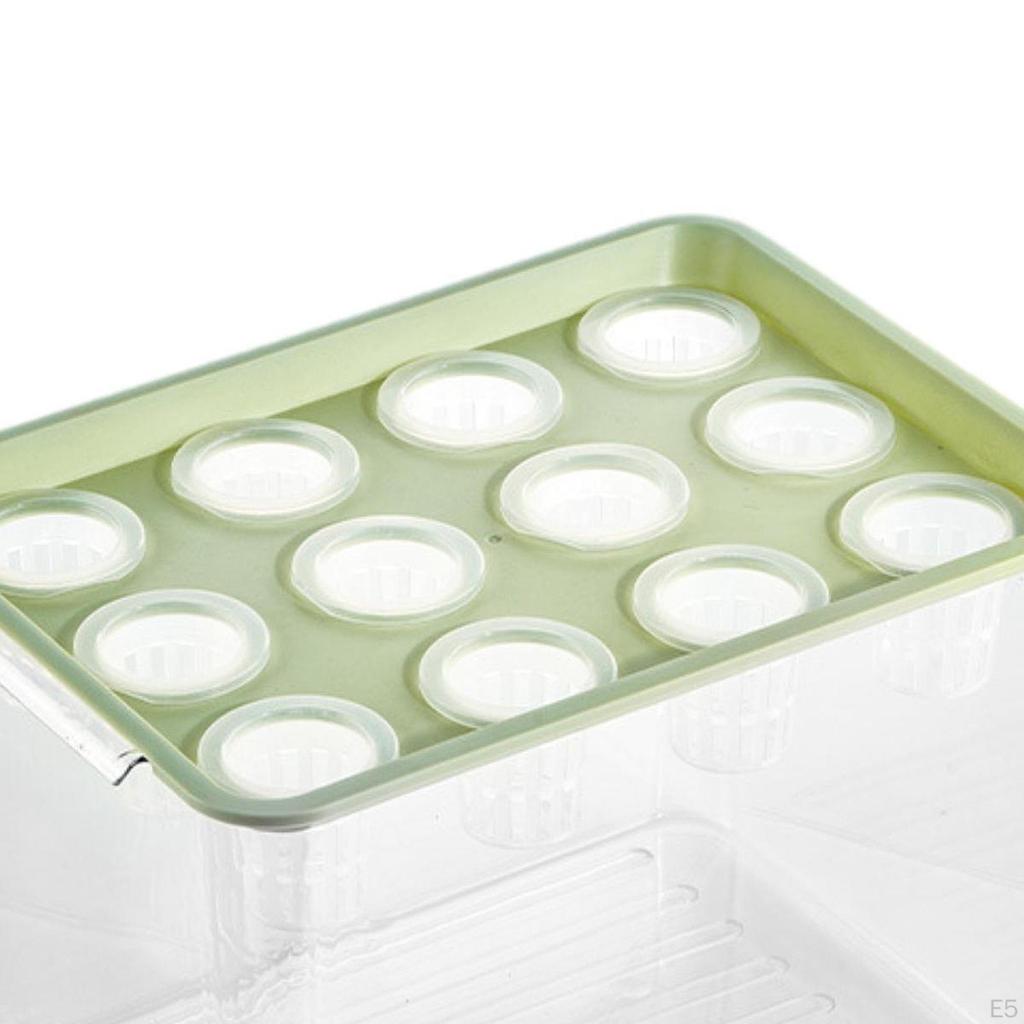 Home Hydroponics Growing Box for Microgreens Development