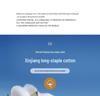 Unisex Heavyweight 400g Pure Cotton Long Sleeve Whitening T-Shirt – Thick, Non-Transparent, Casual Base Layer