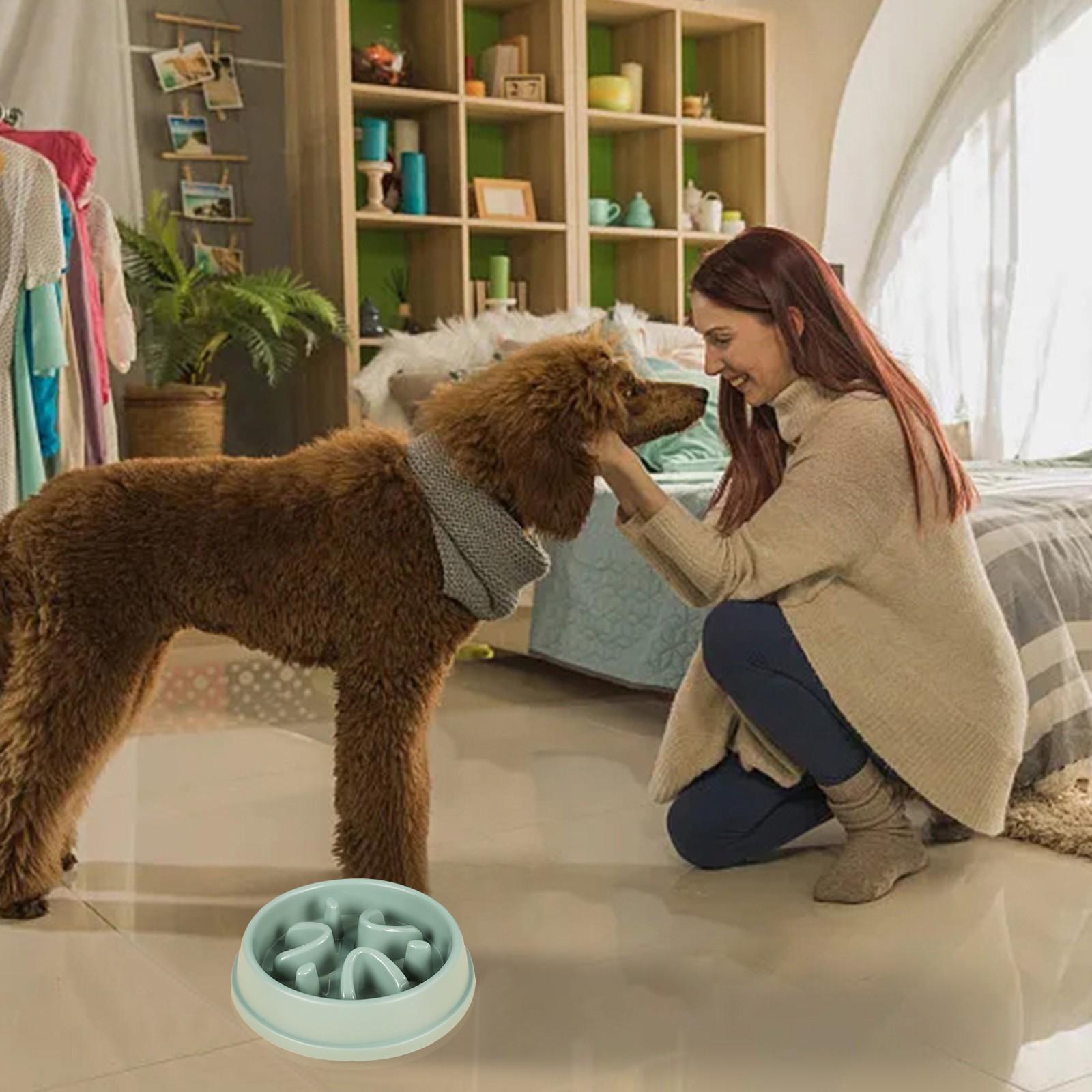 Slow Feed Dog Bowl Slow Feed Dog Puzzle Bowl Puppy Slow Dog Bowl Interactive Flatulence Dog Dog Water Bowls Slow Feeder (as the picture,One Size)