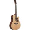 Ibanez/ PC34CE-NT (Natural High Gloss) Ibanez [Eleaco]