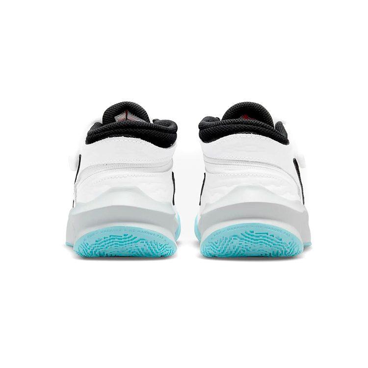 Nike Team Hustle D 10 Flyease Slip Resistant, Abrasion Resistant, Breathable Low top Basketball Shoes White Blue Unisex DD7303-102