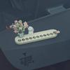 Cartoon Aromatherapy Car Number Plate for Temporary Parking