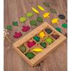 Giocattolo Foglia di Legno Bambino Montessori Scienze Biologiche Simulazione Forma Foglie Foresta Classificazione Giocattolo Sensoriale Educativo a Finale Aperto Regalo