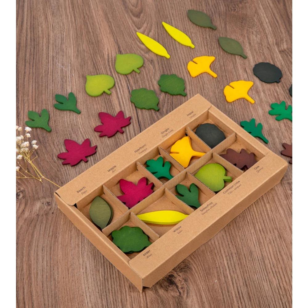 Giocattolo Foglia di Legno Bambino Montessori Scienze Biologiche Simulazione Forma Foglie Foresta Classificazione Giocattolo Sensoriale Educativo a Finale Aperto Regalo