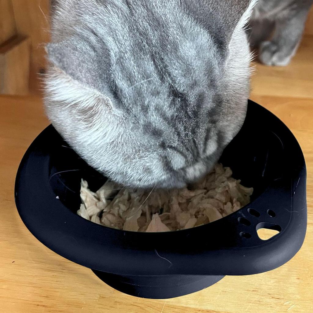 Folding Dog Bowl 300ml Foldable Bowl With Carabiner Silicone Pet Feeding Dish For Travel Camping Hiking Backpacking Outdoor