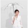 Transparent Umbrella