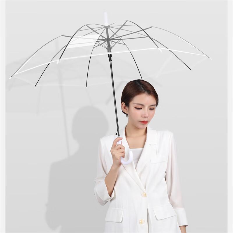 Transparent Umbrella