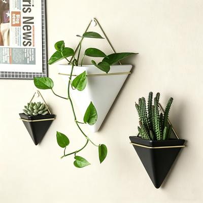 Wall-Mounted Ceramic Hydroponic Flower Vase for Succulents and Green Radish