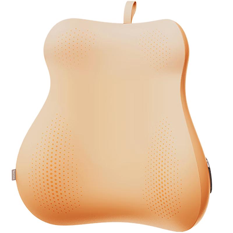 Philips PPM5102B Pear-Shaped Lumbar Massager Cushion