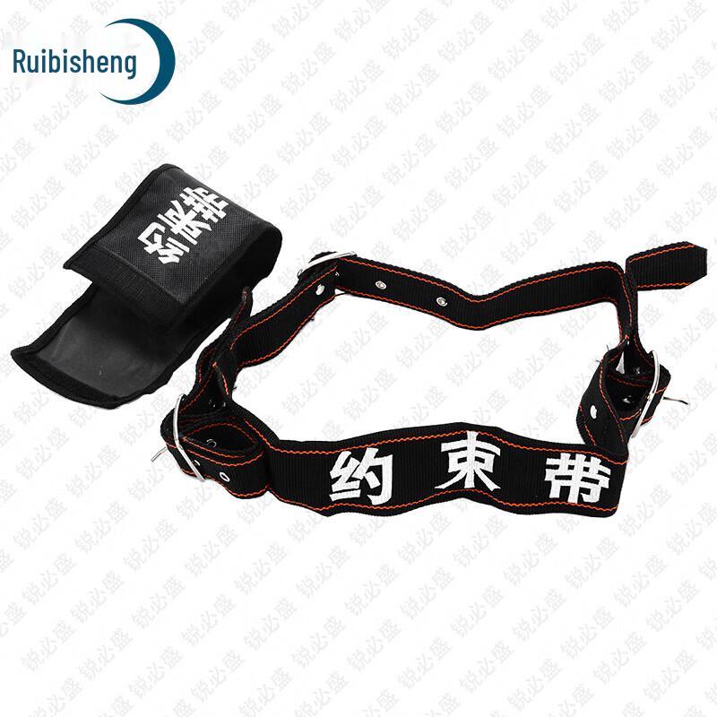 Ruibisheng Public Safety and Anti-Riot Equipment