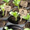 50 pezzi etichette per piante di bambù, etichette da giardino con pennarello per fiori, piante grasse, fiori decorativi, cartelli per piante, marcatori da giardino