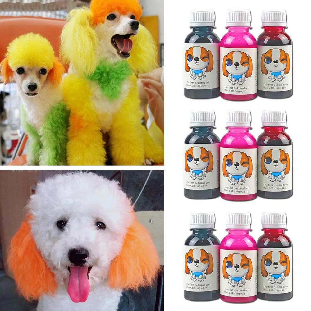 100ml Crème Colorante pour Animaux Longue Durée Coloration Cheveux Chien Non Irritante Extraits Naturels Colorant Cheveux Chat Chien Accessoires pour Animaux