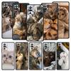 Handyhülle für Xiaomi Redmi Note 14 13 12 5G 11 10 Pro Plus 4G 9S 9 14C 13C 12C 10C 9C 9A Weiche TPU-Hülle süßes schlafendes Kätzchen