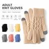 Windproof Touch Screen Gloves Thickened Wool Gloves Fashion Winter Knitted Gloves  for Men Women