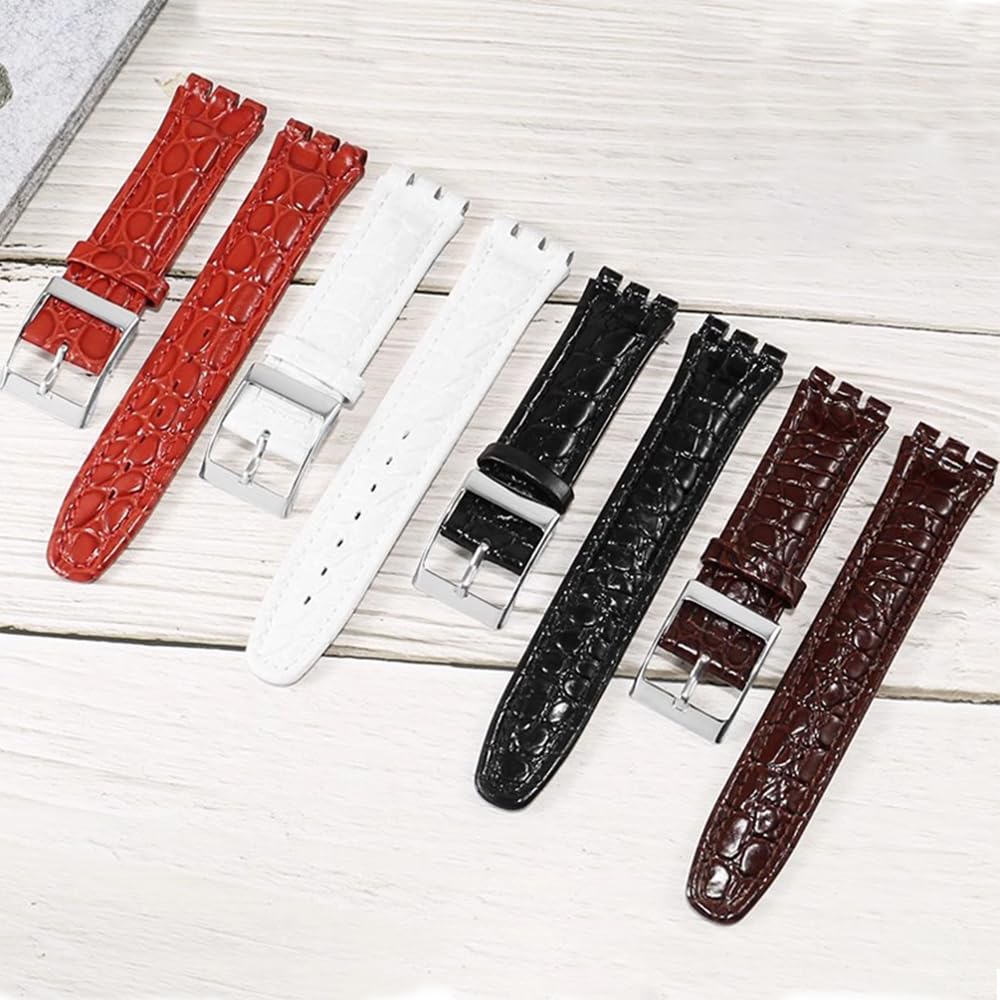 ZHUOLEI Replacement Watch Strap for 17mm 3 Spring Spring Bar and Swatch, (Includes Bars, Remover, Box)
