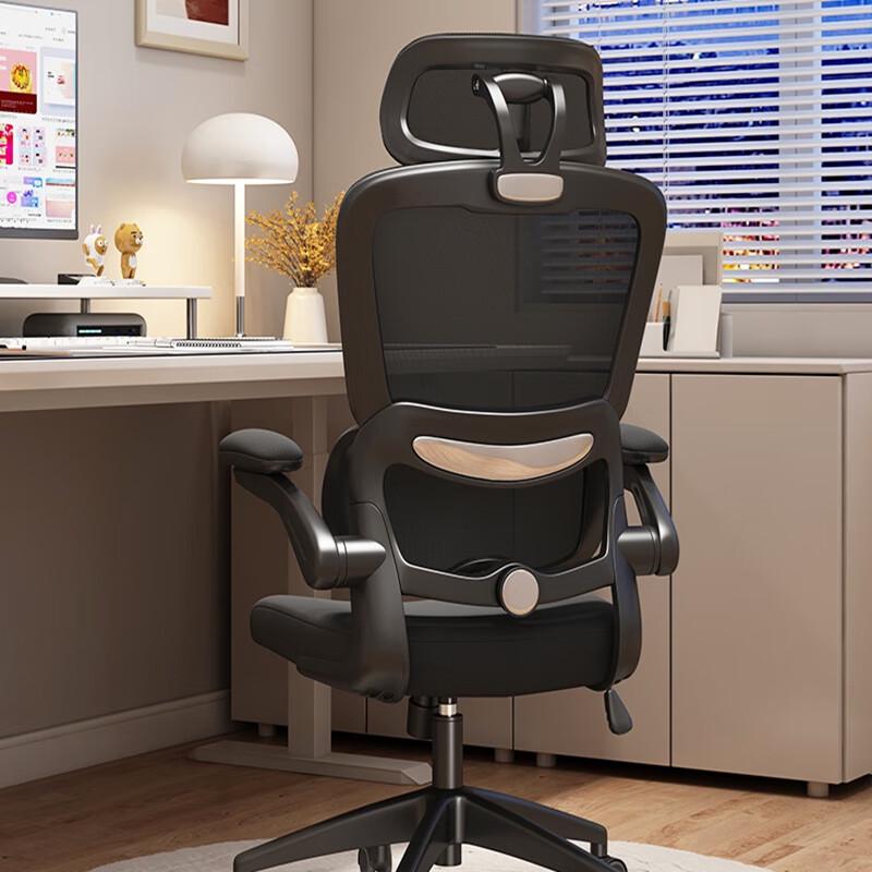 Youshu Ergonomic Office Computer Chair