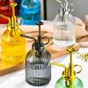 320ml Glass Water Spray Bottle Hand Pressure Watering Can Indoor Small Flower Plant Sprayer Garden Mister