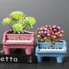 Nordic Resin Succulent Flower Pot Desktop Plant Old Pile Potted Plant Personalized Q Version Creative Home Ornament