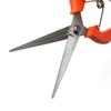 Grape and Flower Arranging Pruning Shears – Ideal for Fruit Picking and Gardening