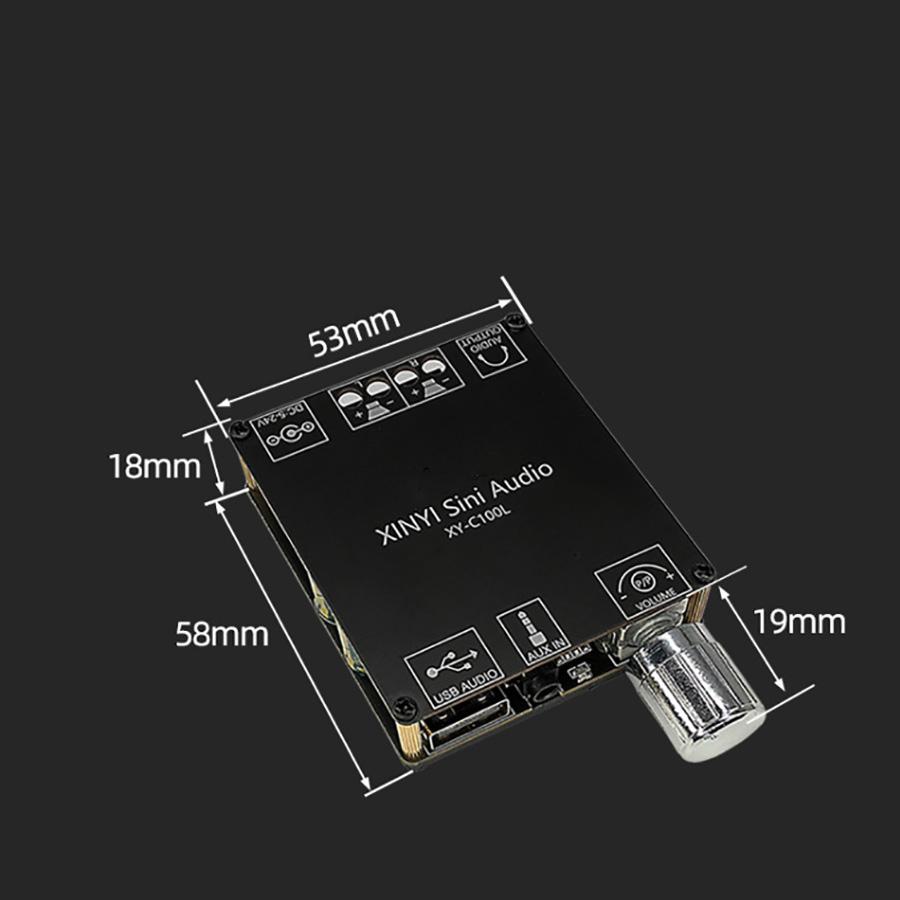1x HiFi Bluetooth 5.0 Power Digital Amplifier Board 100W*2 Mini Stereo Audio Amp