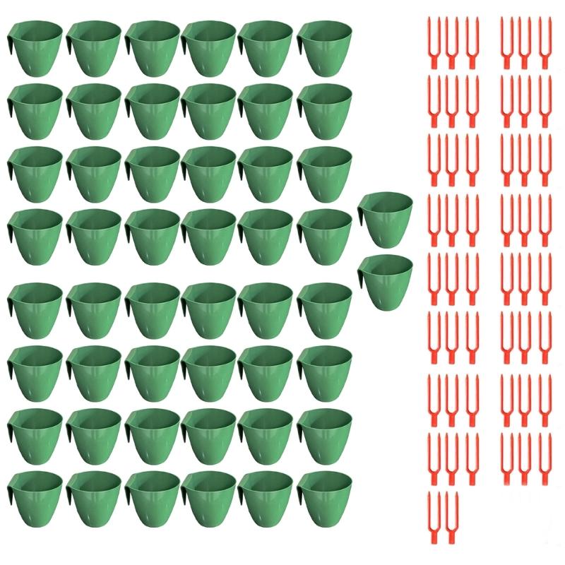 Propagation Cup Kit Featuring Food Grade Plastic and Runner Forks Ideal for Strawberry Runners and Seedling Cultivation