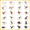 Realistic Bird Figurines, 24pcs Eagle, Parrot, Robin, Owl Toys - Fairy Garden Accessories, Educational Learning Dollhouse Birthday Cake Topper Gift