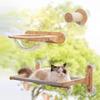 Cat Furniture, Rubber Wood Transparent Capsule Kitten Wall Shelves - Premium Kitty Bed for Sleeping, Playing, Climbing