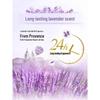 OMO Lavender Laundry Powder & Antibacterial Detergent Bundle