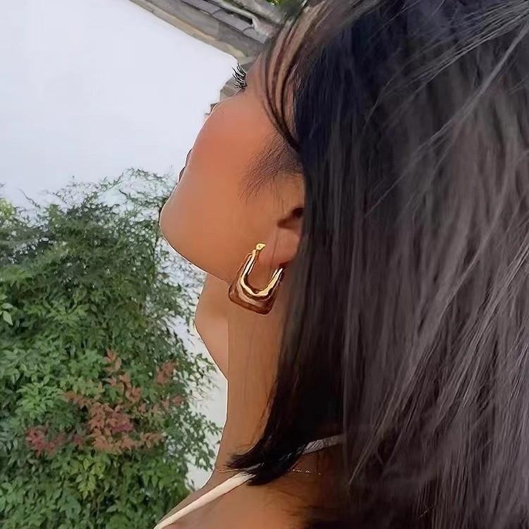 Retro Small Bag Earrings, Ear Buckles, French Loose Sense Niche Design, High Sense Light Luxury Amber Autumn And Winter Earrings