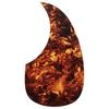 Scud Acoustic Pickguard Totoise/Brown F-4002/T1