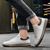 2024 New Fashion Men Shoes Korean Solid Color Casual Lace Up Shoes Mens Breathable Canvas Ice Silk Cloth Men's Walking Sneakers