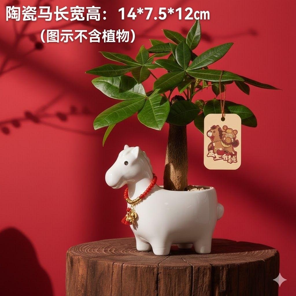 White Porcelain Cartoon Succulent Flower Pot Creative Pony Gardening Simple Desktop Flower Pot Hand-Painted Get Rich Flower Pot 14*7.5*12CM