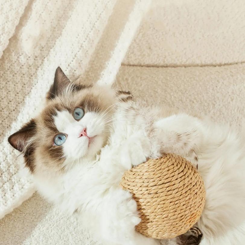 10CM Interactive Sisal Cat Scratching Ball Toy For Kitten Teeth Cleaning Anti Bite Cat Ball Sounding Toy Pet Supplies