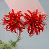 Chinese Hanfu Hair Accessories Red Flower Long Tassels Hair Clip Hairpins Barrettes Vintage Dress Accessories Headwear Jewelry
