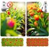 Manual Pressure Sprayer Plonos