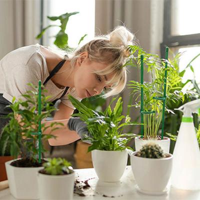 6/12 estacas de soporte para plantas con anillos para arreglos florales, cultivo de verduras, palos de soporte para plantas verdes, suministros de jardinería