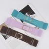 Elastic Belt Women'S Personalized Dress Suit Decorative Temperament Waist Seal Elastic Belt Leather Belt