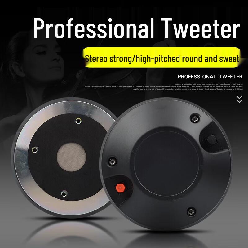 KAXISAIER Professional Full-Range Passive Speaker CN plug (adapter included)
