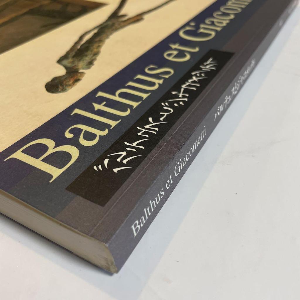 [USED] Balthus et Giacometti Art Collection