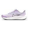 Air Zoom Pegasus 39