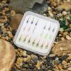 19PCS/Box #16#18 Tungsten Bead Fast Sinking Wet Fly Euro Nymph Fly Trout Fishing Lures Baits